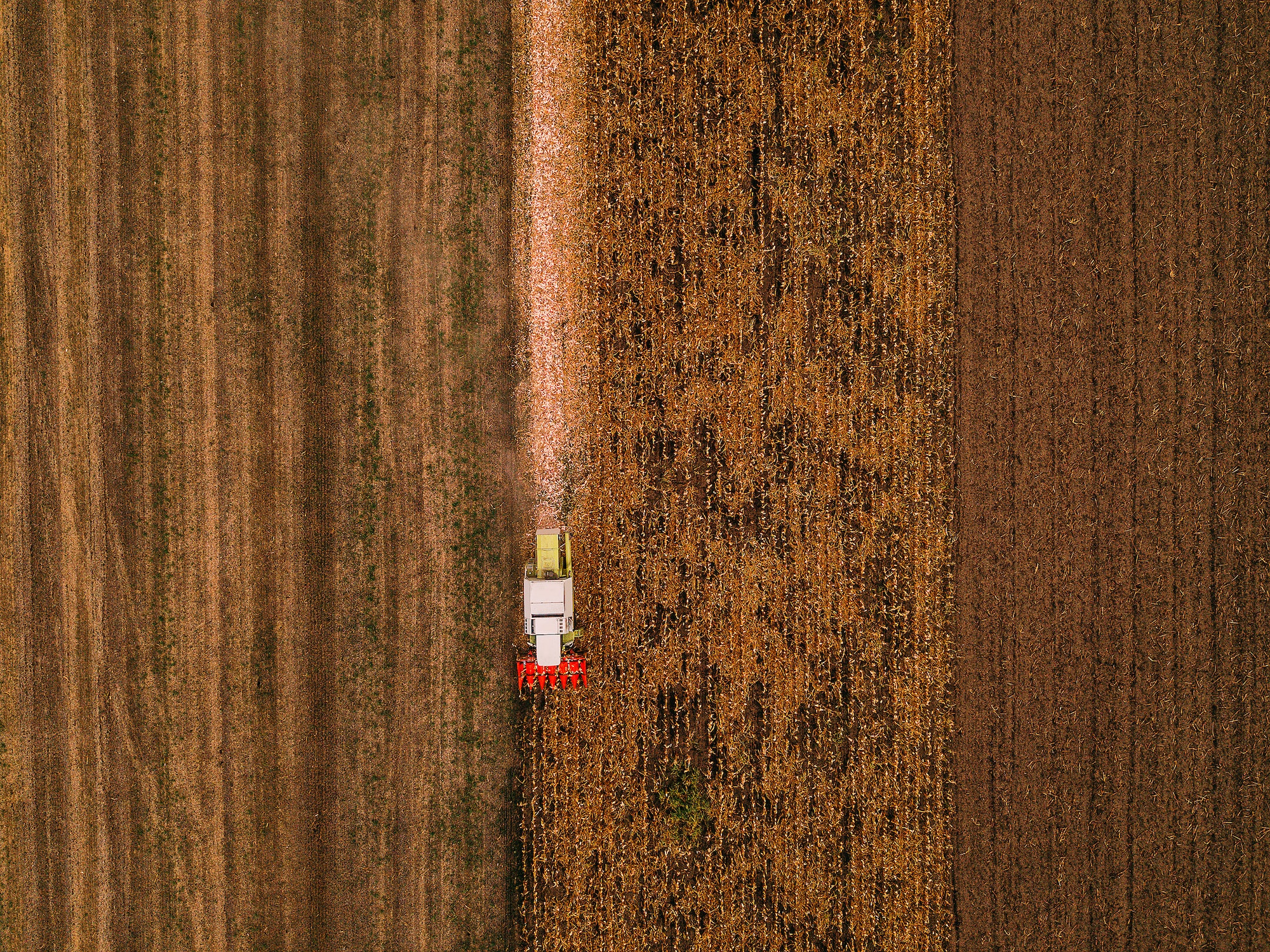 Corn maize harvest, aerial view of combine harvester