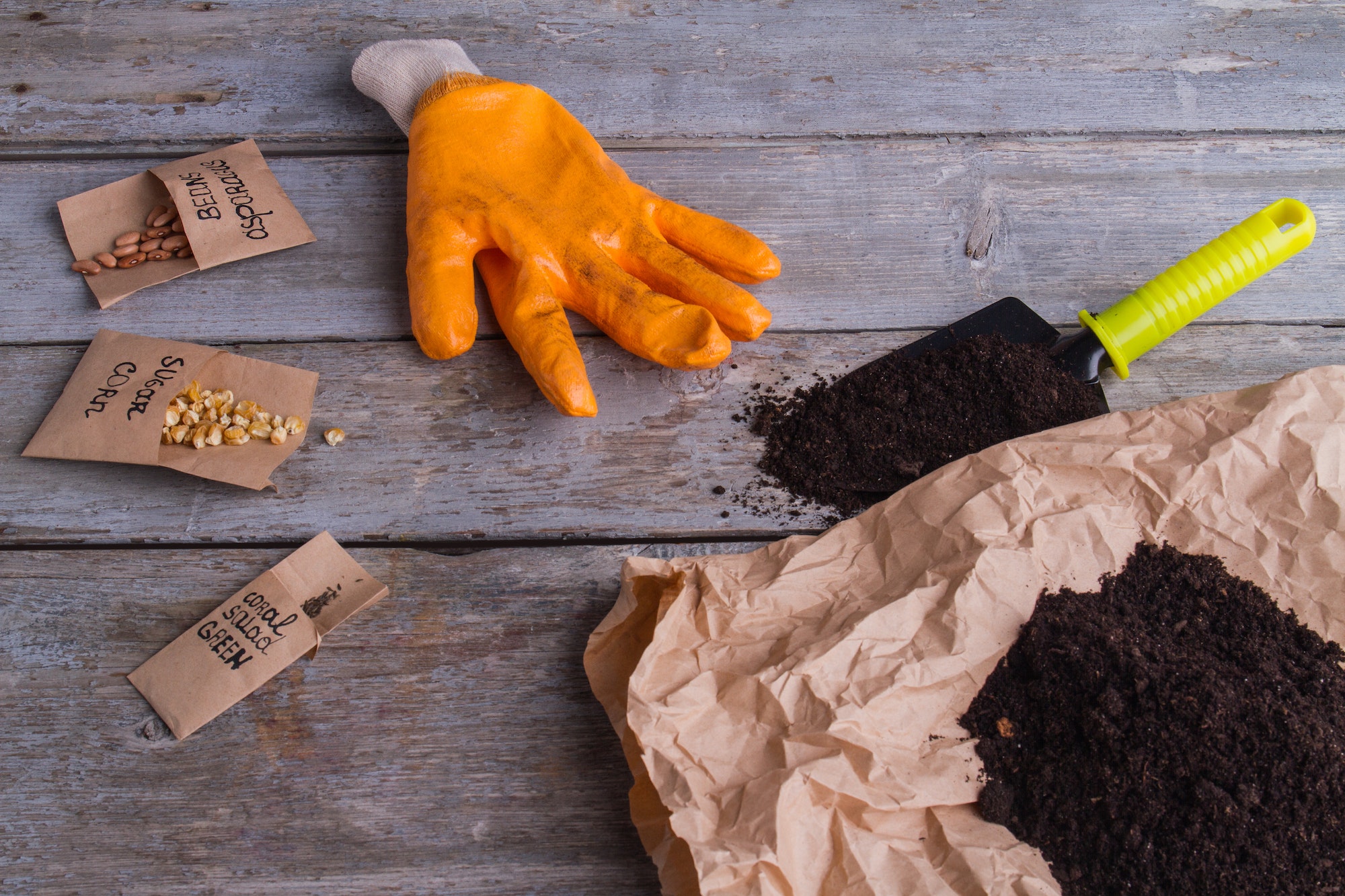 Seeding items with seends and soil.